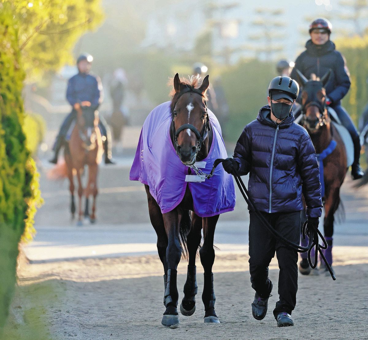 JRA 有馬記念　ドウデュース　武豊騎手 有馬記念 共同会見】ドウデュース・武豊騎手（2023年12月20日） - YouTube