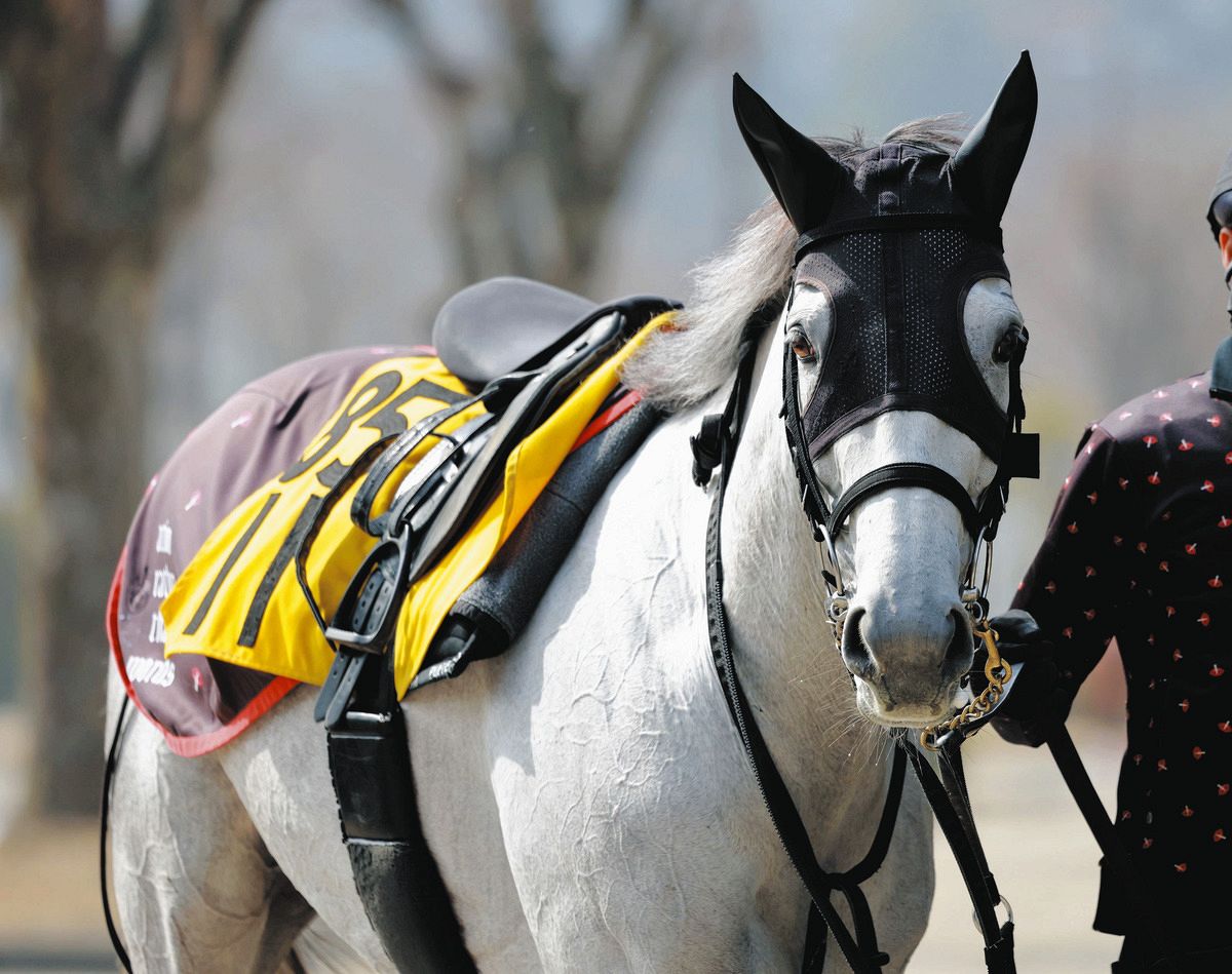 天皇賞・春】牝馬で春の盾制覇を狙うアクアヴァーナル 安部厩務員 