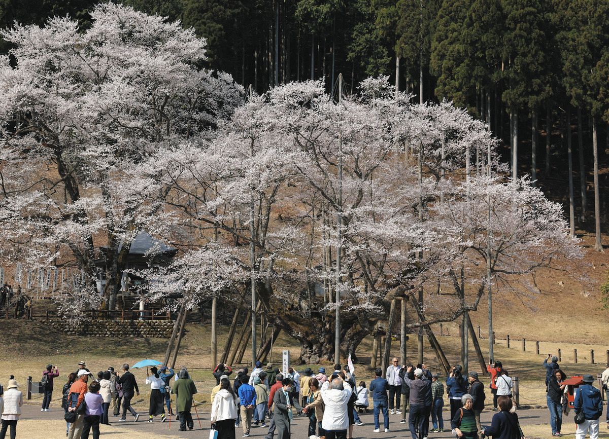 8月22日 尾道 古写真 大正13年 - 文化歴史資料館・風土誌料研究所