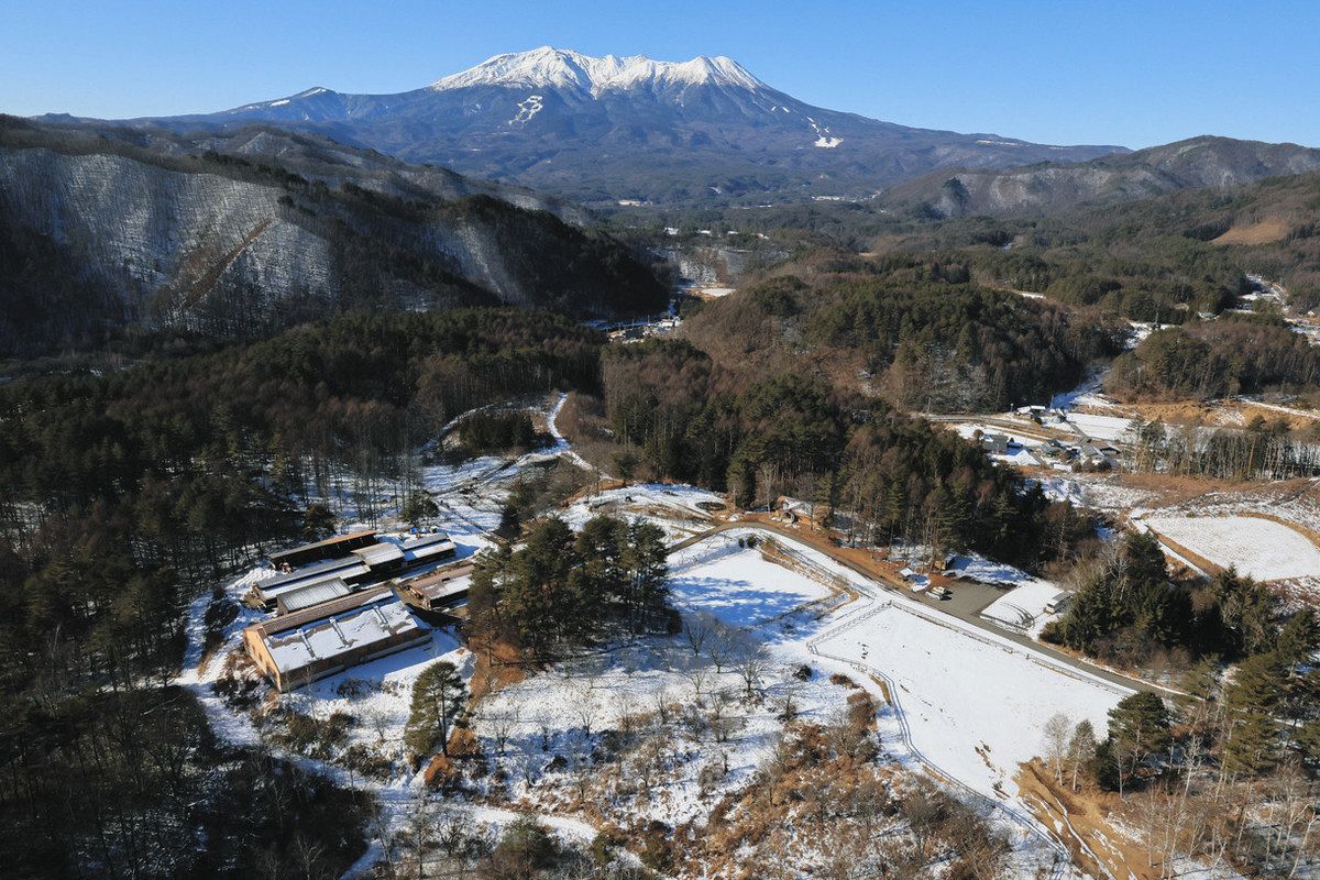 冬の方が元気」な木曽馬、暑い夏を乗り切るために 木曽町開田高原で