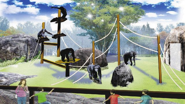 チンパンジーの遊具新調資金 ｃｆで募る 豊橋 のんほいパーク 中日新聞web