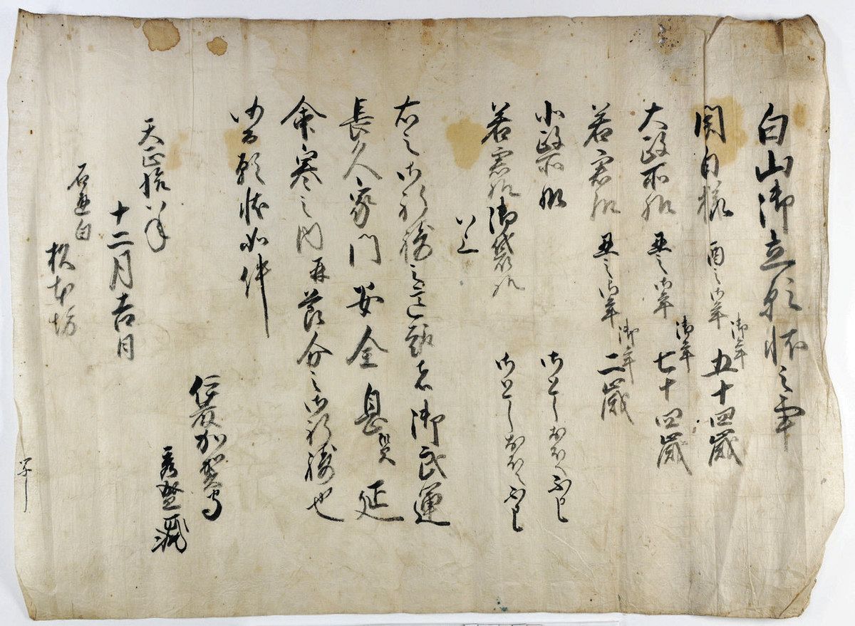 秀吉の人物像 読み解く 県文書館 生まれ年の定説 裏付け史料公開：日刊