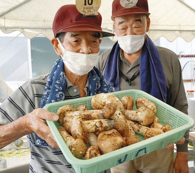 赤目マツタケ 今年は出来良し 名張で初競り市 中日新聞web