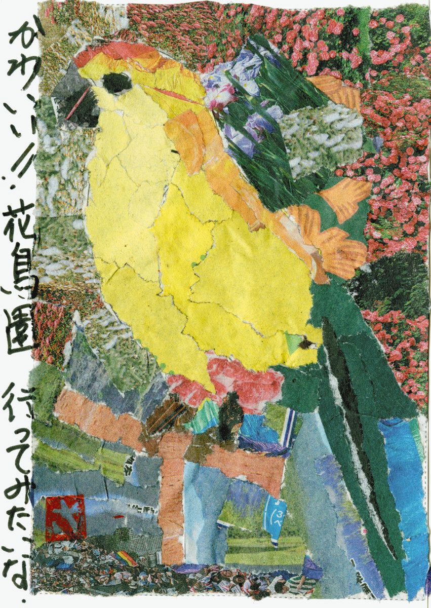 新聞ちぎり絵 ギャラリー＞ 「インコ」：中日新聞しずおかWeb