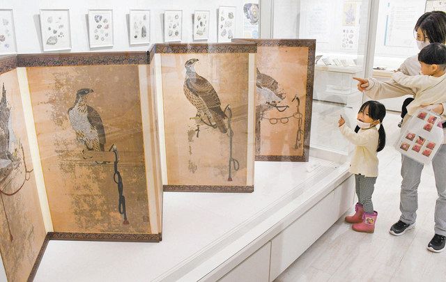 タカのびょうぶに注目 個人宅で発見など 研究資料を展示 こども歴史