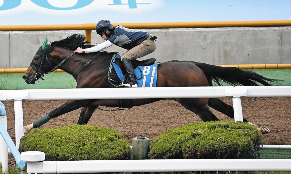 2025年 函館競馬場 函館スプリントS レプリカゼッケン レイべリング