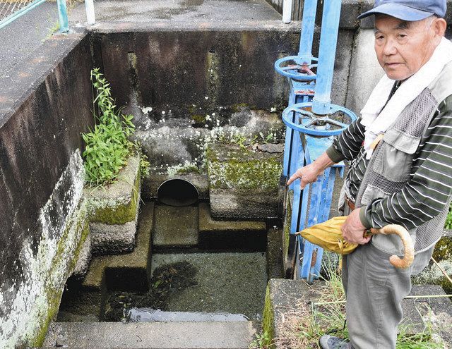 用水路にニホンウナギの稚魚 春日井 中日新聞web