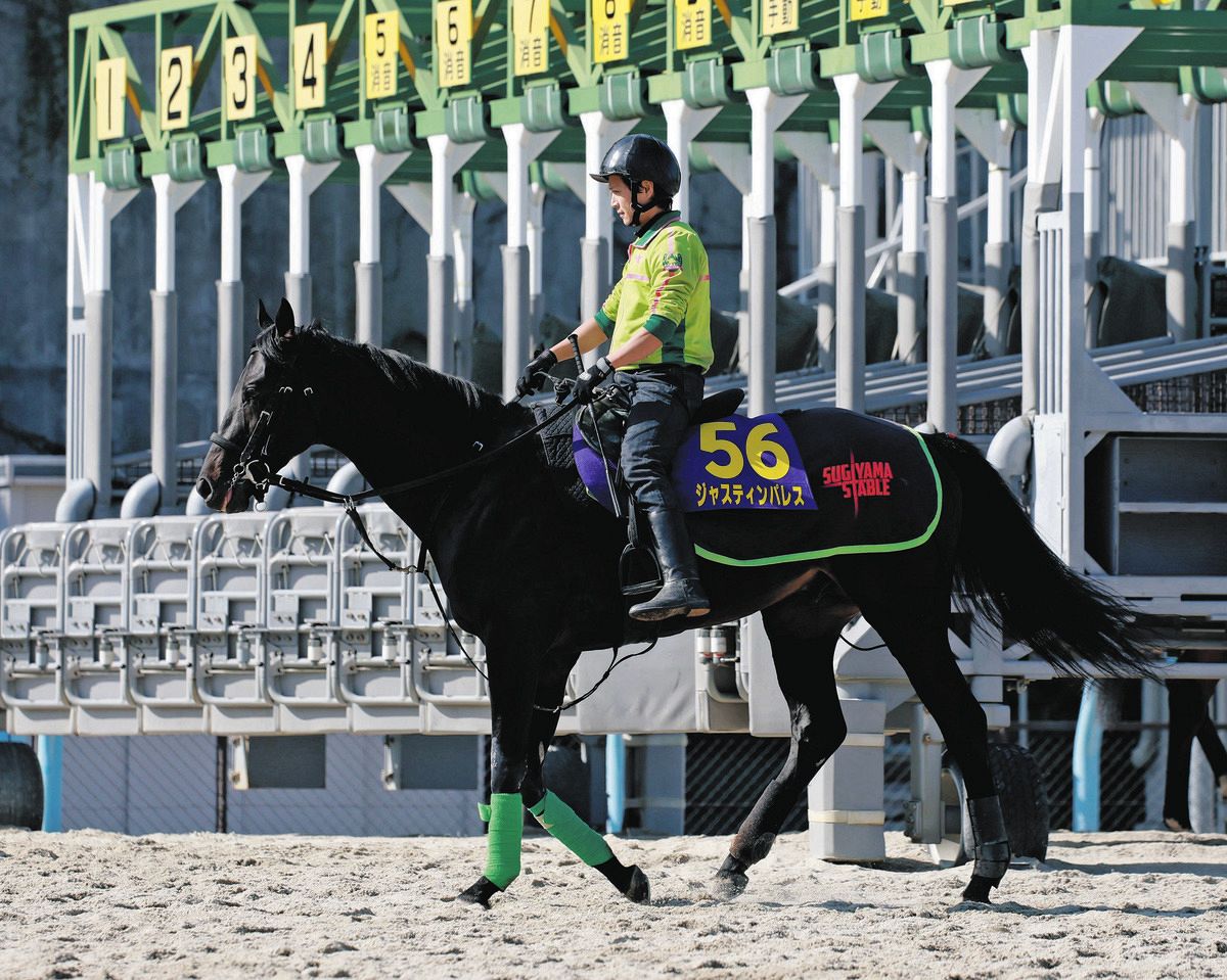 ⑤◆ 競馬 JRA ◆ ジャスティンパレス ◆ 天皇賞春 ◆ 2種類セット ◆ ジャスティンパレス、史上6頭目の同一年の天皇賞・春秋連覇へ
