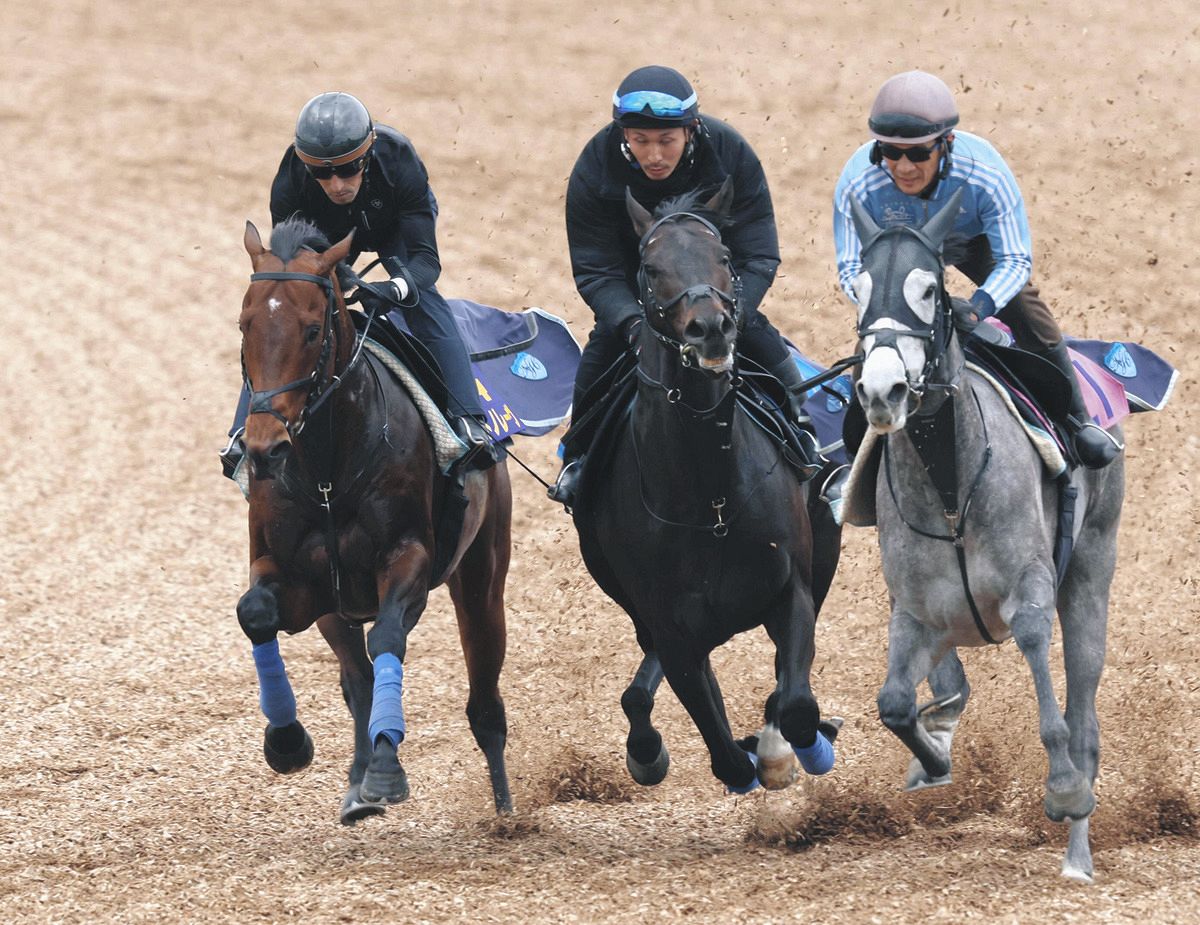 高松宮記念・追い切り】厩舎の先輩以来15年ぶり連覇に挑むサトノレーヴ