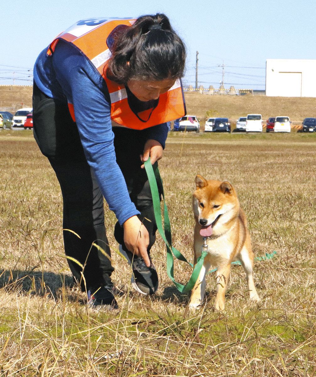 においで足跡をたどる審査に臨む柴犬の「つぶ」と所さん＝瑞穂市牛牧の県警機動警察センターで
