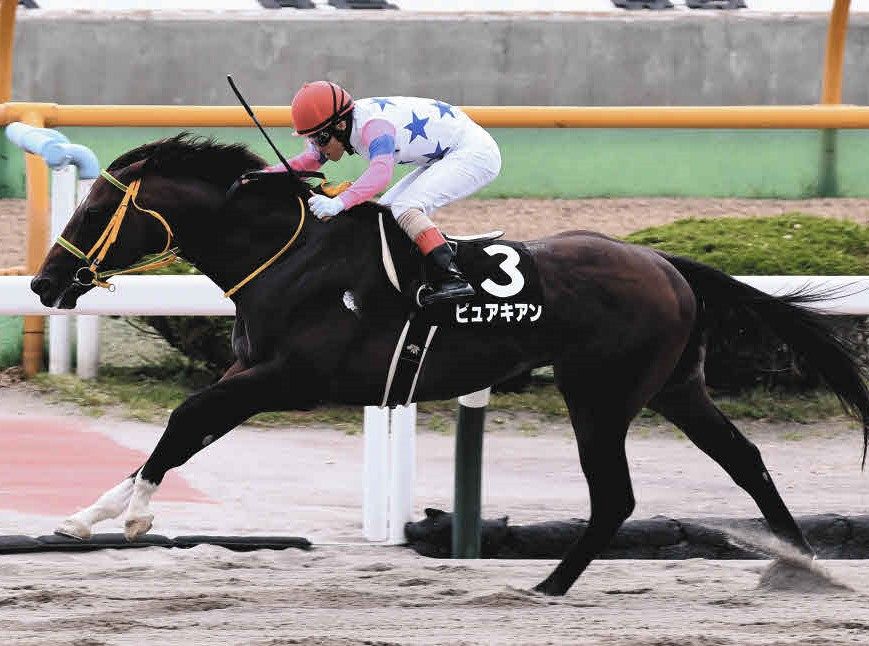 ＪＲＡ　札幌競馬場　ＷＳＪＳ　ウィリアムズ騎手直筆サイン入り手袋　激レア品！！！ 最終値下げ！ JRA 札幌競馬場 WSJS ウィリアムズ騎手直筆