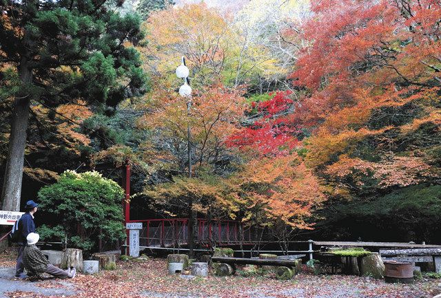 染まる木々 晩秋の装い 三河の紅葉を巡る 中日新聞web