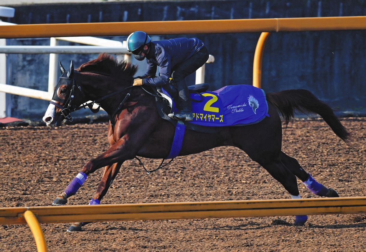 勝った馬が強かった アドマイヤマーズ香港マイル連覇ならず 積極的なレース運びも直線力尽きて3着 中日スポーツ 東京中日スポーツ