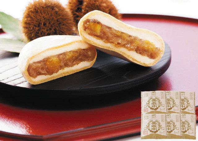 うちのイチおし＞ 「中津川市之瀬 和栗最中アイス」 ドリームジャパン