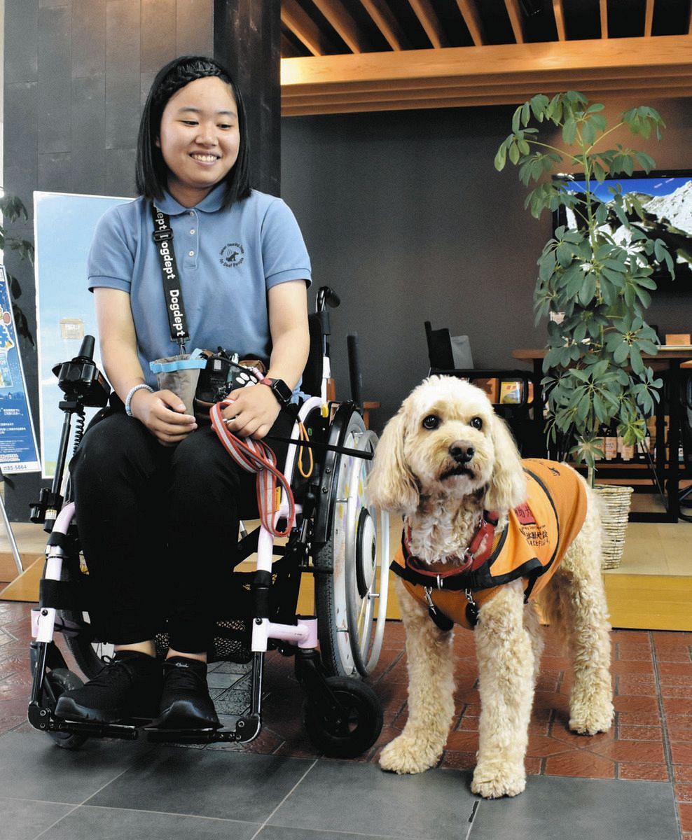 車いす生活の女性、聴導犬・介助犬学院で訓練士目指し奮闘 「当事者