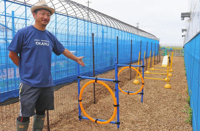 ワンちゃん一緒に ドッグラン カフェ ブドウ農家が構想 日刊県民福井web