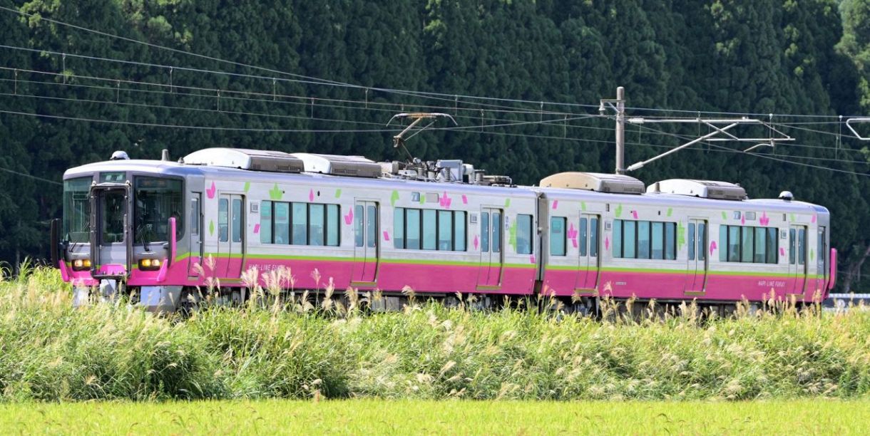 ハピラインふくい　オリジナルデザイン　無記名　ICOCA＆列車時刻表付　福井限定 Amazon.co.jp: ICOCA ハピラインふくい鉄道 特別デザイン 無記名