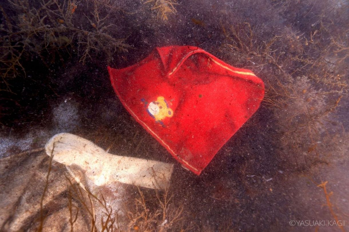 水中写真家・鍵井靖章さんが見た能登 海底に沈んだ御膳や消防団装備