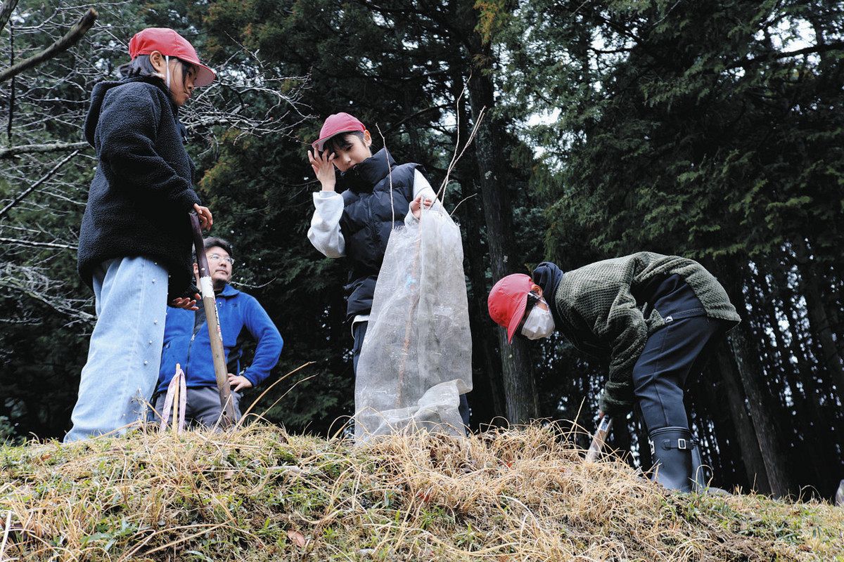 創立150周年記念の桜植樹 亀山・加太小児童ら：中日新聞Web