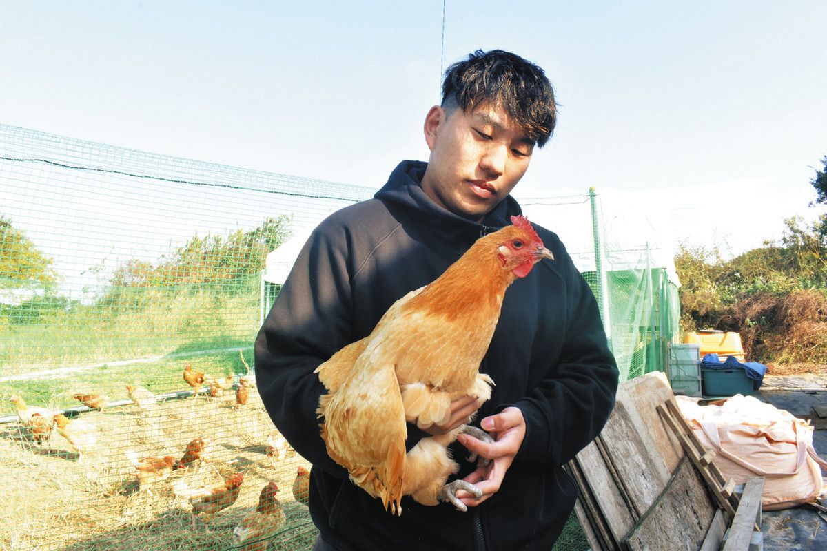 美味しさの秘訣は「放し飼い」？ 名古屋コーチンに賭けた24歳農家