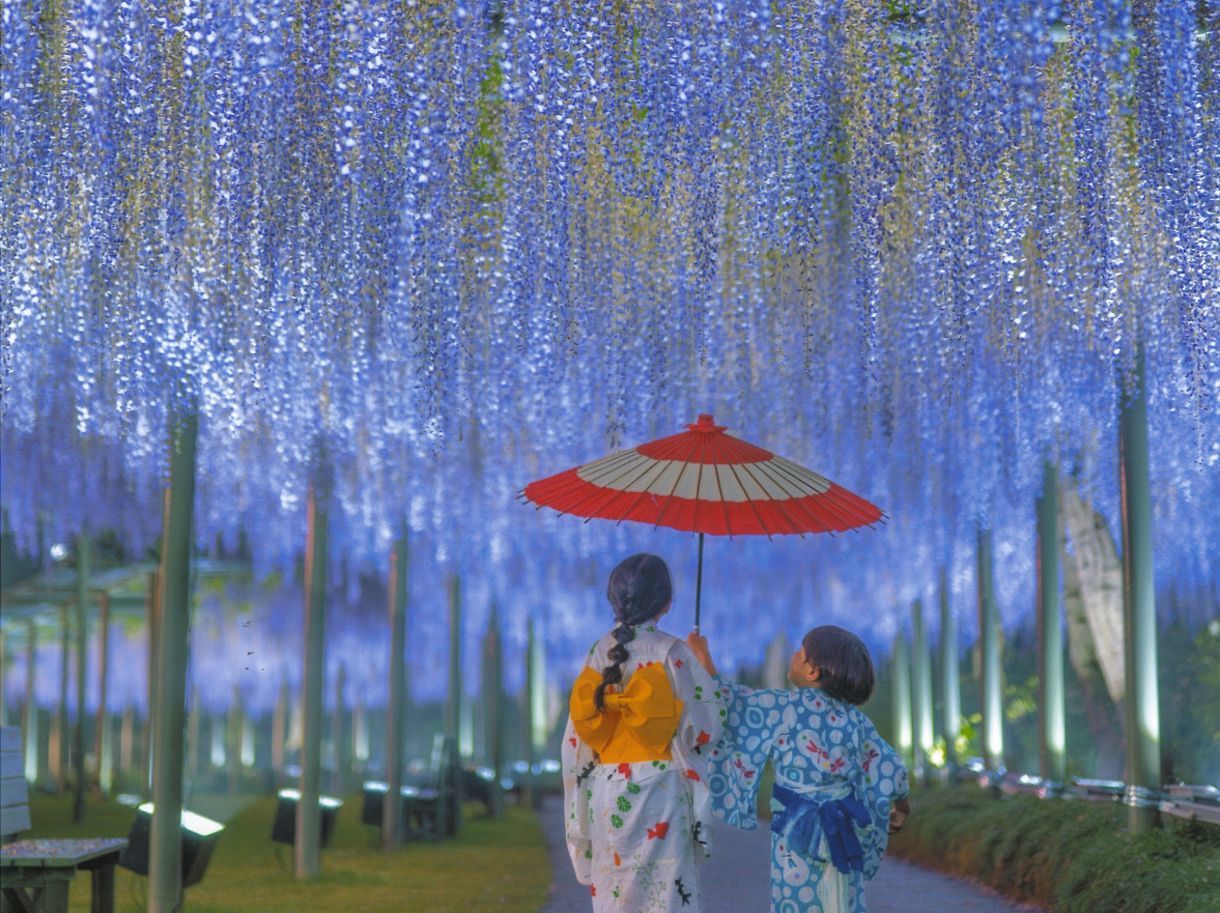 花博、感動の瞬間 はままつフラワーパークフォト:中日新聞しずおかWeb