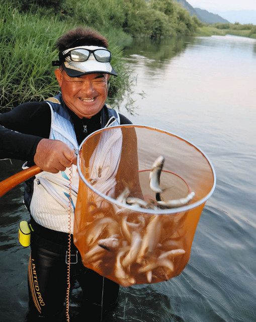 九頭竜川で爆釣宣言再び 福井県永平寺町：中日スポーツ・東京中日スポーツ