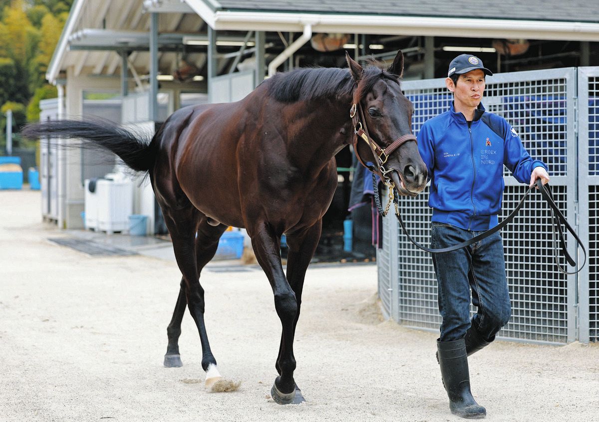 熊沢重文さんの二刀流予想】大阪杯の勝ちっぷりで抜きん出た地力見せた