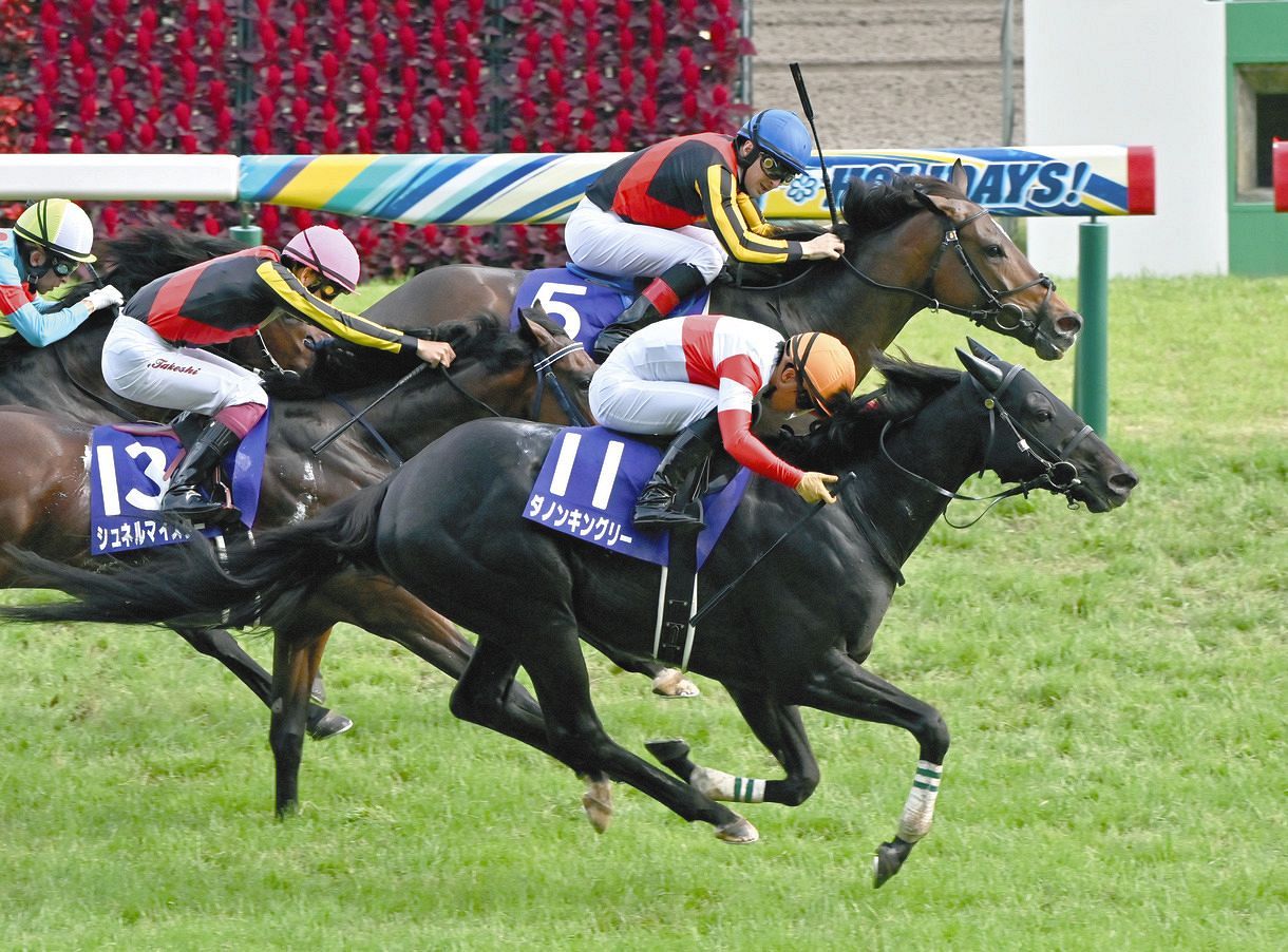 安田記念で見た、川田将雅の勝負勘のすごさと「選んだ以上は結果を出す」という意地【本城雅人コラム】：中日スポーツ・東京中日スポーツ