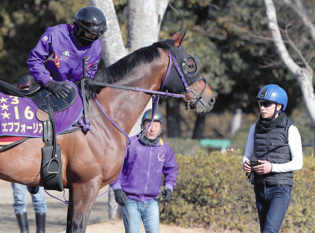 京都記念】エフフォーリアもう一度輝きを…「兆しが見えた」有馬