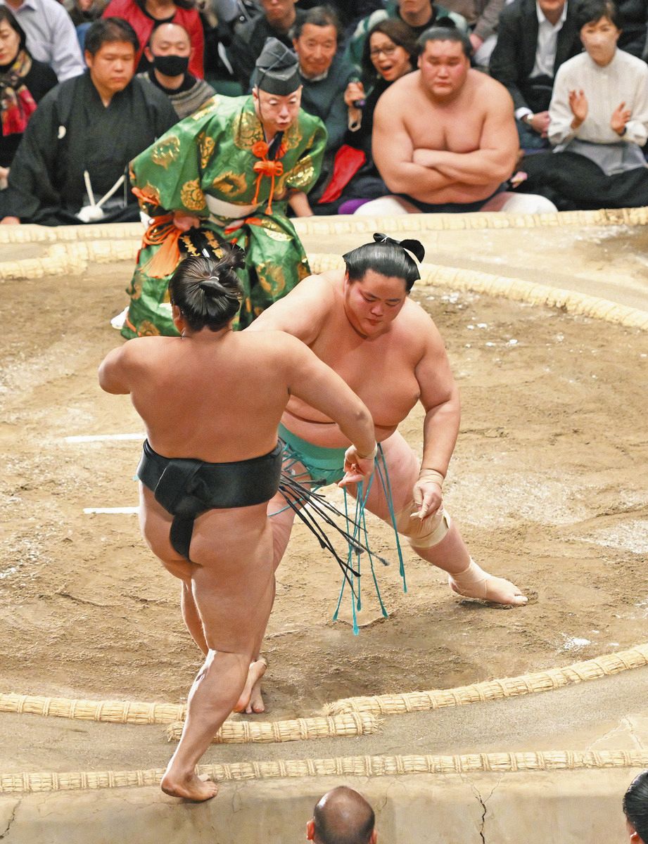 大相撲 大関 大の里関 反物 大相撲 大関 大の里関 反物