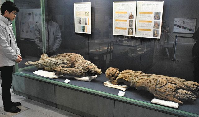 木造天部像で平安時代旅して 高岡市万葉歴史館で初展示 北陸中日新聞web