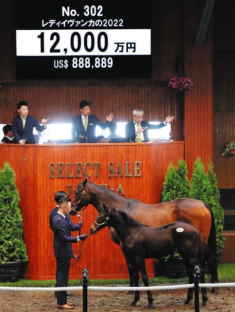 ⭐️定価143,000円⭐️ラリック⭐️未使用⭐️オブジェ⭐️置物⭐️馬⭐️最高級品⭐️セレブ⭐️ セレクトセール】”ウマ娘”藤田晋社長が落札した9頭は合計で11億円弱