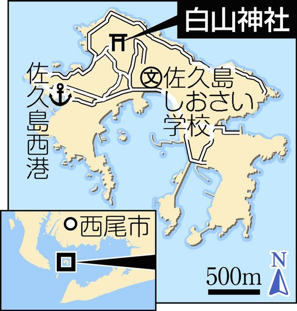 三河撮りある記 １０２ 佐久島 白山神社近くのサザンカ 中日新聞web
