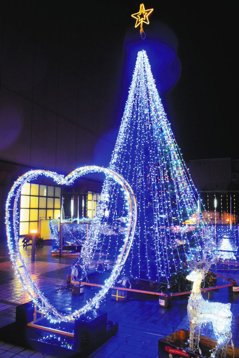 ツリーに明かりきらめく 高岡で「まちなかイルミ」：北陸中日新聞Web