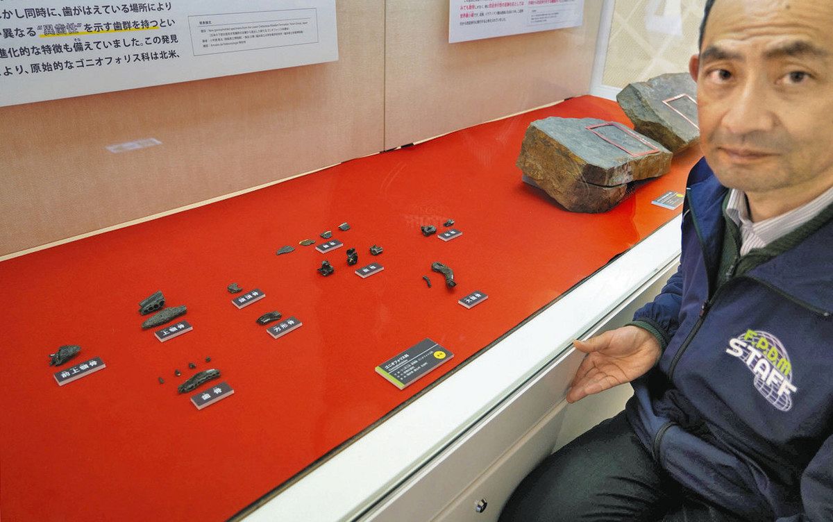 博物館 クラス ポリネシア 出土品 大珍品 旧日本兵 持ち帰り品 石像 博物館 クラス ポリネシア 出土品 大珍品 旧日本兵 持ち帰り品