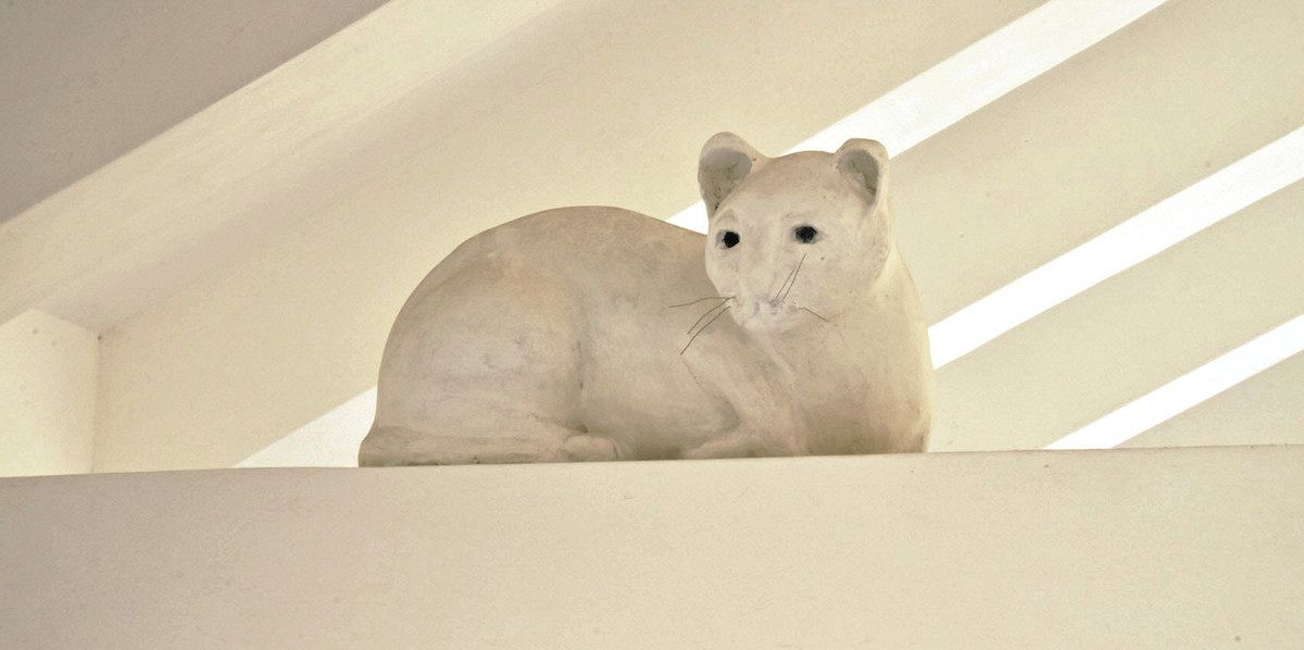 土蔵のネコに愛称をつけて 豊田市博物館：中日新聞Web