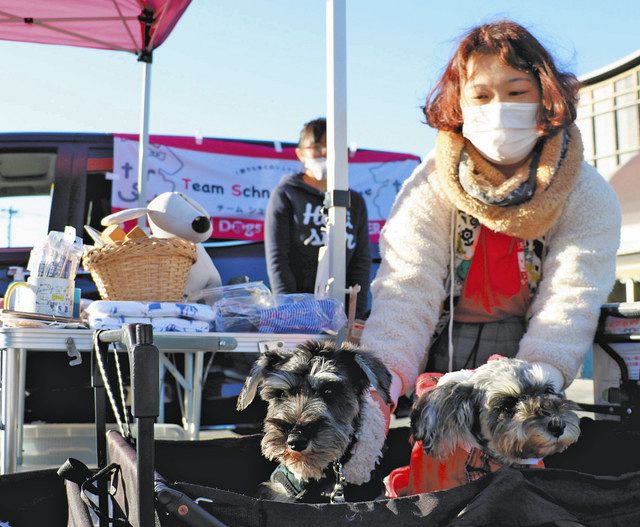 動物も人も幸せに 岐阜で啓発の催し 市民団体 中日新聞web