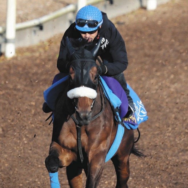 カレンブーケドール、68年ぶり牝馬制覇なるか 「力は ...