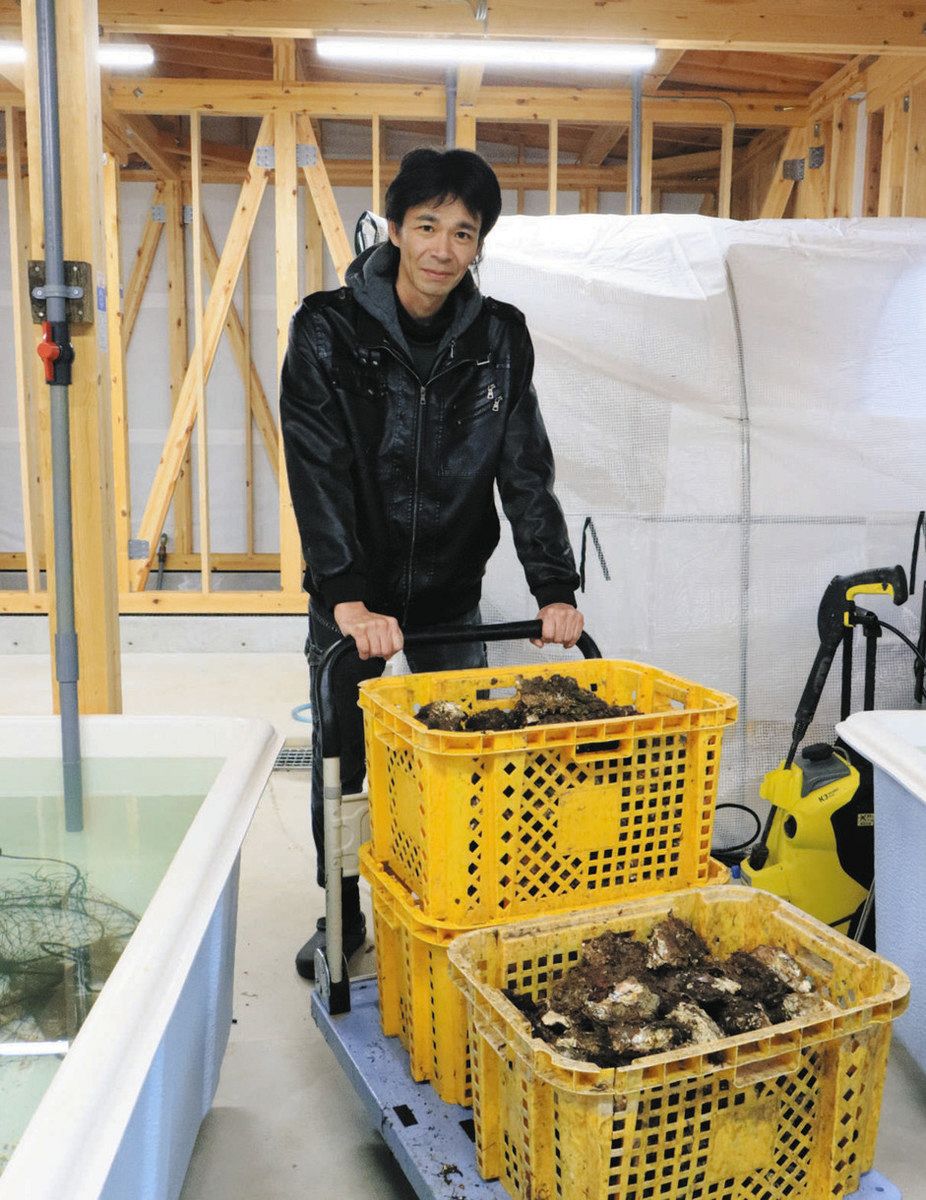 石川】被災負けず カキ出荷再開 穴水に移住、養殖励む38歳：北陸中日