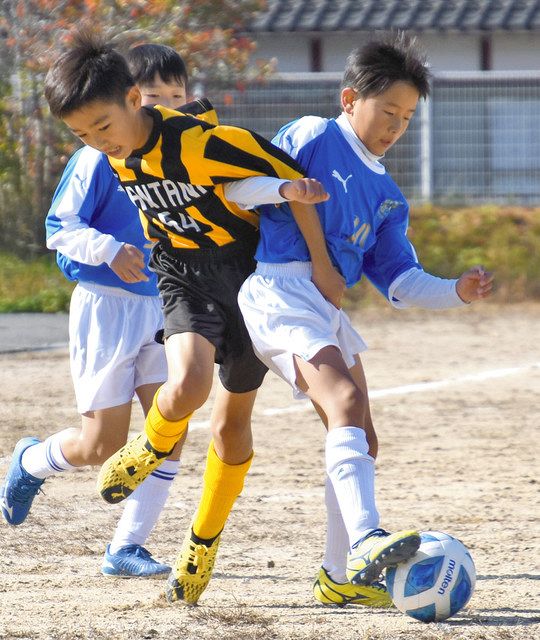 ４０年目も熱戦に拍手 高月少年サッカー大会 豊栄クラブが１位 中日新聞web