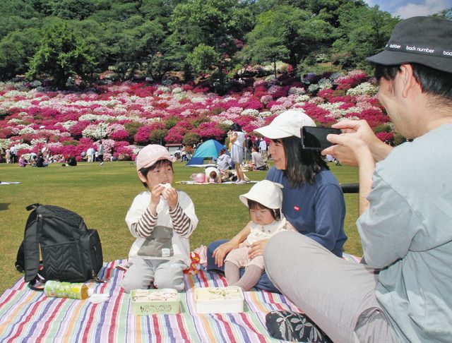 １１種５万株のツツジ満開 鯖江の西山公園 中日新聞web