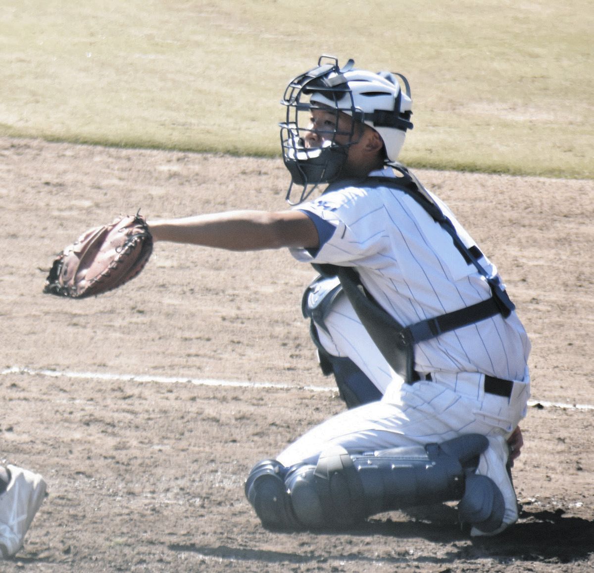 初優勝の至学館・井口睦丈、攻守で活躍 同校OBで兄・敦太さんができ