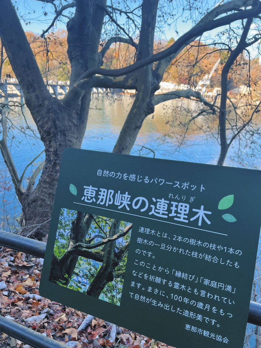 恵那市観光協会が設置した看板＝恵那市の大井ダム湖畔で
