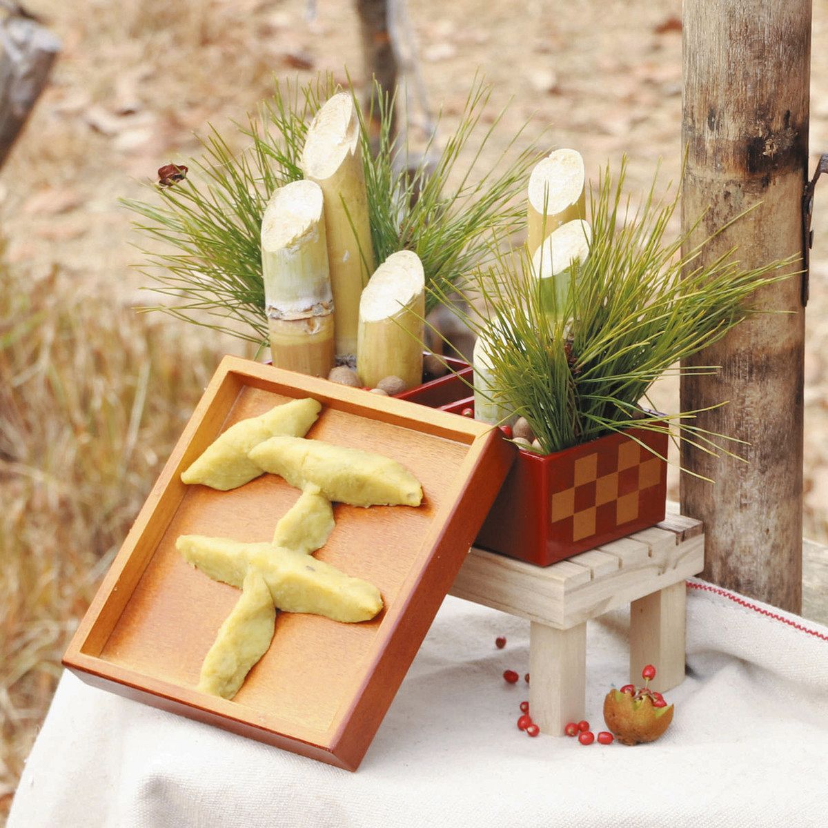 ウマい「おせち」にワォ！ 犬山の日本モンキーセンターでサルに