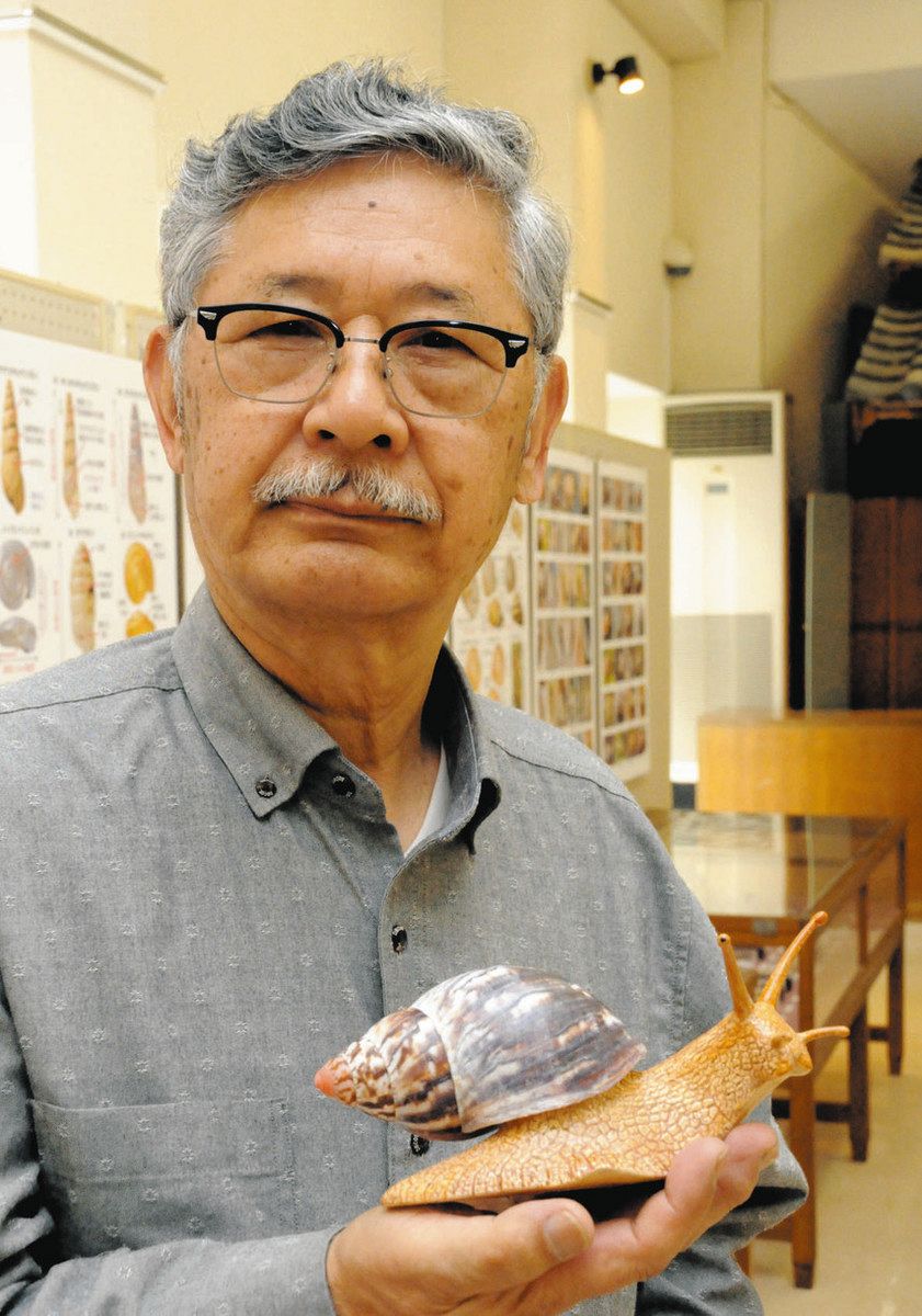 本物そっくりなカタツムリ 6月1日から、新城で特別展：中日新聞Web