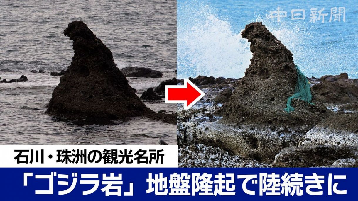 【動画あり】ゴジラ岩は陸続き、トトロ岩は片耳に　能登の海岸沿い、景観一変：北陸中日新聞Web