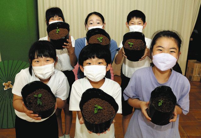 エゴノキの苗木を掲げる５年生の児童ら＝岐阜市加納小で