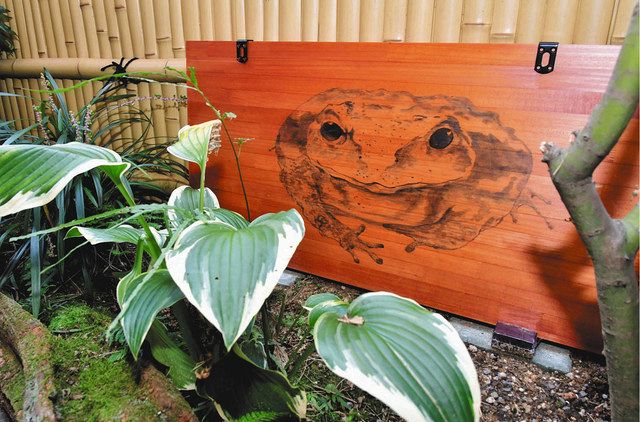 池田温泉の人気者 福ちゃん の絵を坪庭に 2代目はデビュー目指し着々と成長 中日新聞web 池田温泉の人気者 福ちゃん の絵を坪庭に 2代目はデビュー目指し着々と成長 中日新聞web