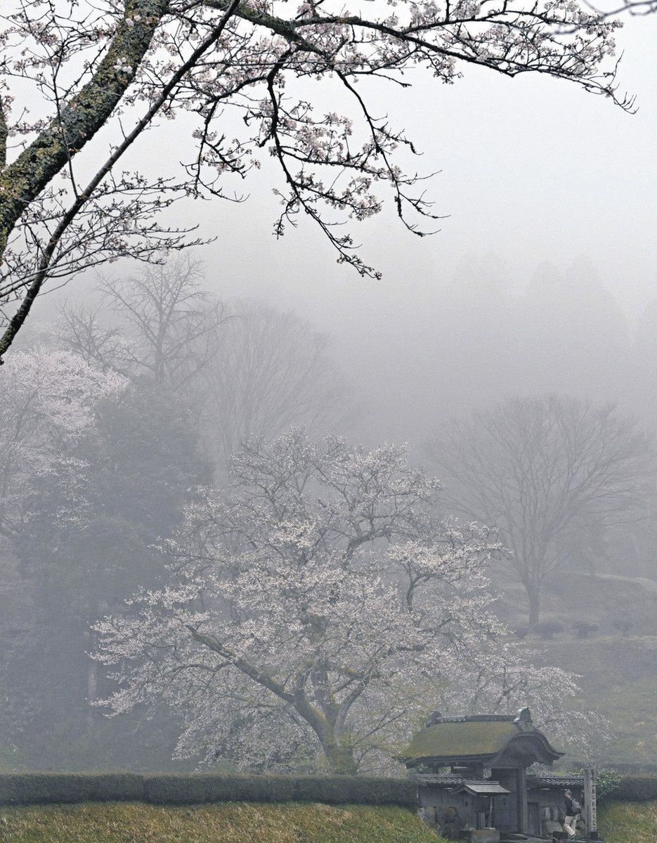 群馬県からの蔵出品　江戸〜明治期頃　青手面取窓絵九谷徳利　一対　無傷　本物保証 群馬県からの蔵出品 江戸〜明治期頃 青手面取窓絵九谷徳利 一対