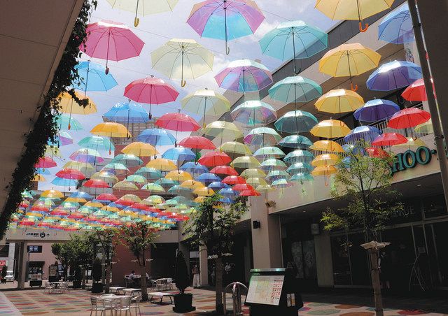 梅雨に彩り 心晴れやか 草津で傘の空間装飾 中日新聞web